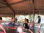 Hatha Yoga en Bali 200 Horas - Imagen 5