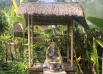 Hatha Yoga en Bali 200 Horas - Imagen 6